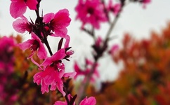 147人体大胆中国人体